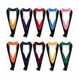 Master Graduation Hood – Custom Color Lining